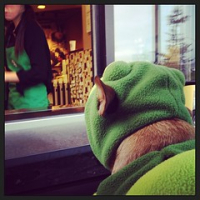 Norm the Ninja Turtle trick or treating at Starbucks! • <a style="font-size:0.8em;" href="http://www.flickr.com/photos/98807890@N02/10599332923/" target="_blank">View on Flickr</a>