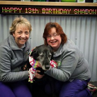 Happy 13th birthday to Shadow Pflaum. The best daycare dog EVER! We love you sweet girl. • <a style="font-size:0.8em;" href="http://www.flickr.com/photos/98807890@N02/16134433876/" target="_blank">View on Flickr</a>