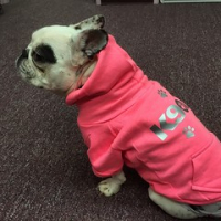 Sophie is proud to be a new model sporting her K907 hoodie. @k907dogwear @hanklefrenchie #squishyfacecrew #dogtiredak • <a style="font-size:0.8em;" href="http://www.flickr.com/photos/98807890@N02/16243622754/" target="_blank">View on Flickr</a>